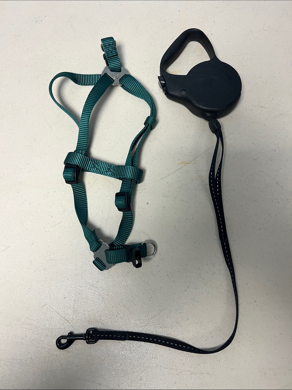 Teal Nylon Small Dog Harness with Black Retractable Leash